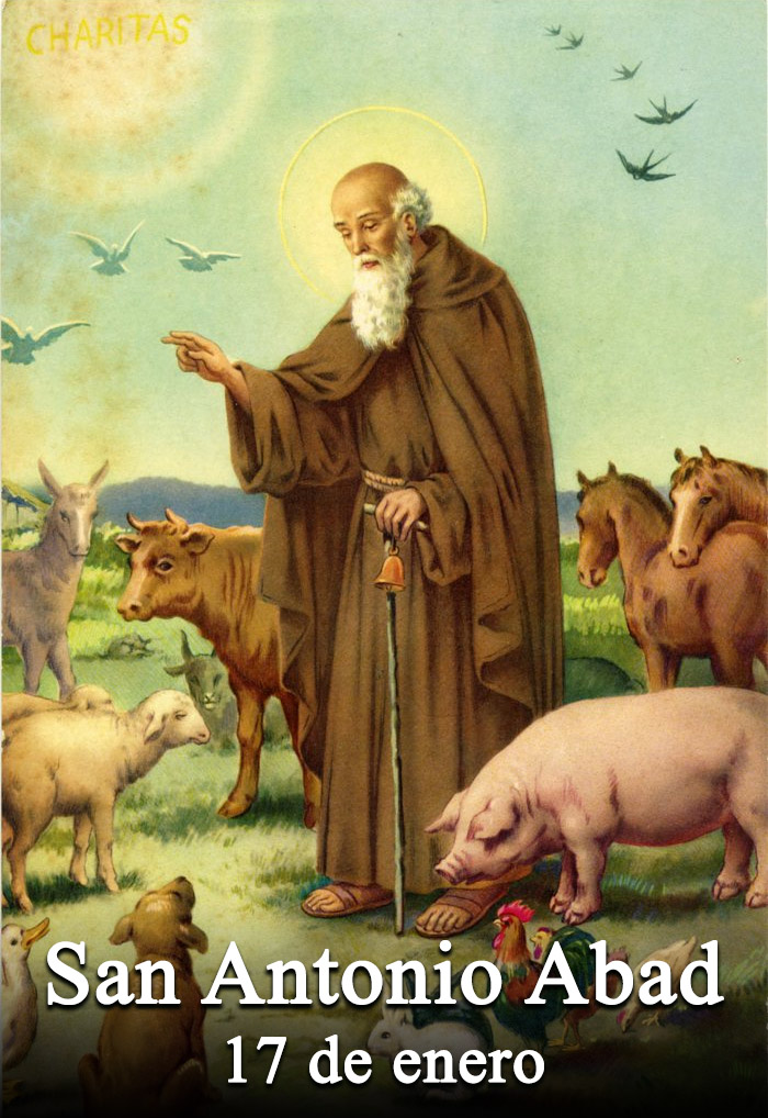 El santo del día 17 de enero