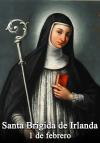 Santa Brigida d'Irlanda